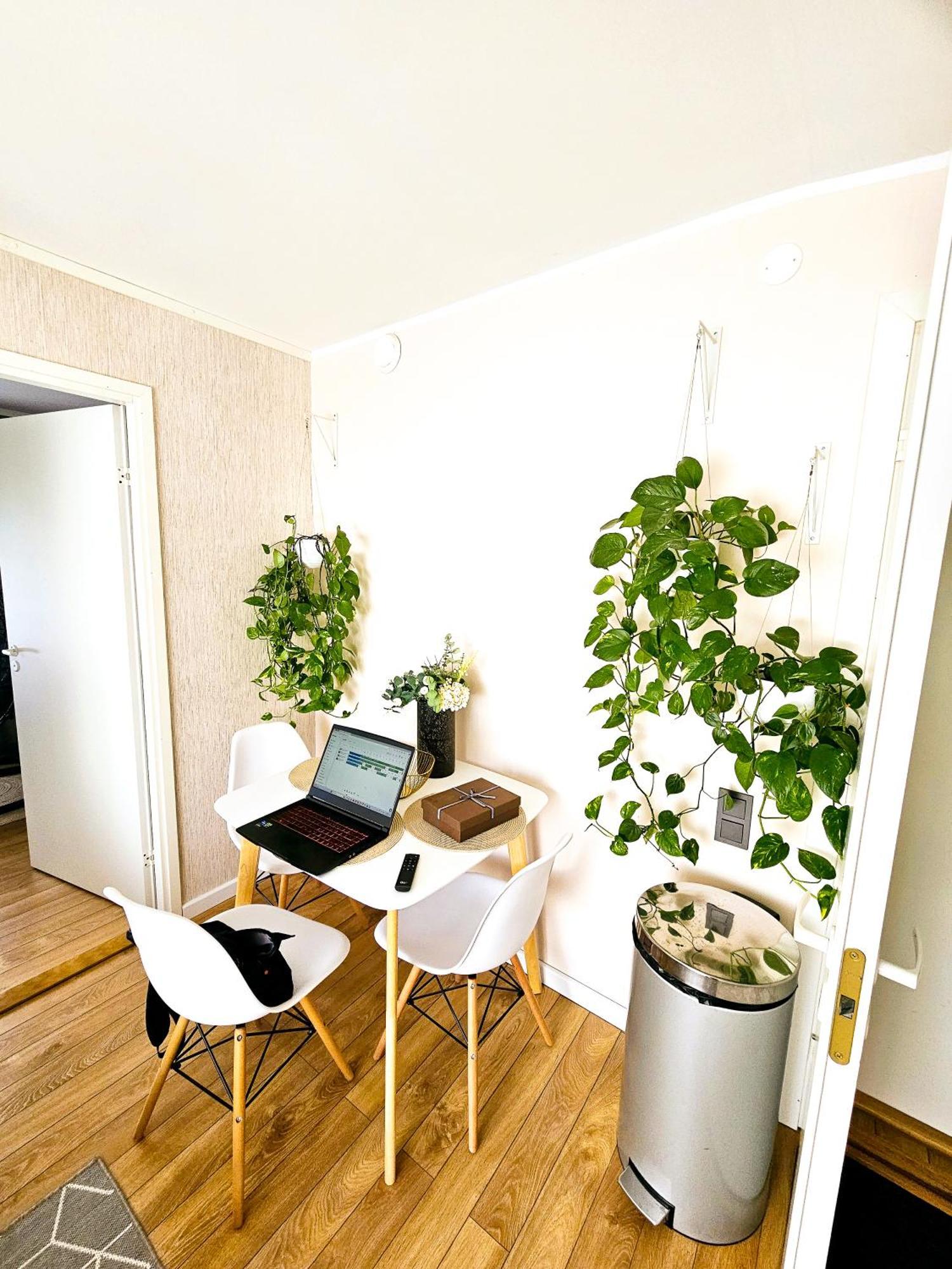 Cofy - Centrally Located, Quiet District, Air-conditioning, Free Parking, 24-7 Express Check-in-out, Close To Sea And Everything Need For Living! *